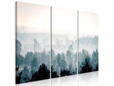 Tableau sur toile en 3 panneaux décoration murale image imprimée cadre en bois à suspendre forêt d'hiver (3 parties) 120x80 cm 11_0006461