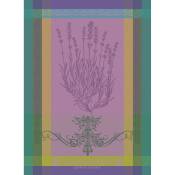 Torchon pur coton violet 56x77