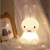 Veilleuse LED, jouet d'éclairage pour enfants, décoration de chambre de lapin, veilleuse colorée, convient aux cadeaux pour enfants, décoration de la