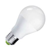 Ledbox - Ampoule led E27, 12W, Blanc froid