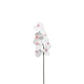 Tige d'orchidée phalaenopsis artificielle blanche