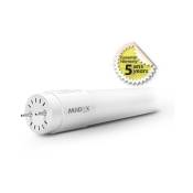 Miidex Lighting - Tube led T8 6W 600 mm (Phase / Neutre même côté) ® blanc-neutre-4000k