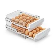 RéCipient à œUfs pour RéFrigéRateur 40 PièCes, Organisateur D'œUfs de Grande Capacité pour RéFrigéRateur, Support à œUfs Transparent pour