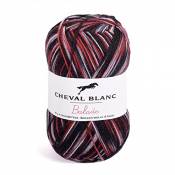 Laines Cheval Blanc - BALADE MULTICOLORE pelote de laine 100g - 75% laine superwash 25% polyamide - Laine chaussettes