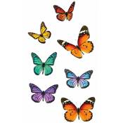 STC - Adhésifs de vitres papillons