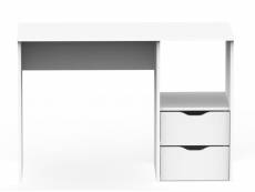 Bureau 2 tiroirs coloris blanc - hauteur 76 x longueur 115 x profondeur 50 cm