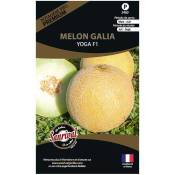 Graines potagères premium melon Galia Yoga