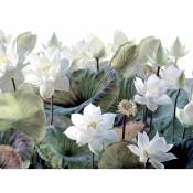 Papier peint panoramique feuilles et fleurs tropicales - 3,75 x 2,7 m de Sanders&sanders vert et blanc