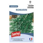 Sanrival - Graines aromatiques romarin vivaces