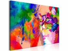 Tableau sur toile décoration murale image imprimée cadre en bois à suspendre chat coloré (1 partie) large 90x60 cm 11_0002936