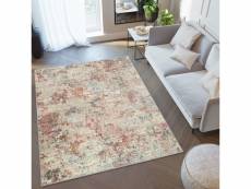 Tapiso tapis salon séjour retro gris brun roux bleu abstrait résistant 120x170 cm C990B L_GRAY/SALMON 1,20*1,70 RETRO