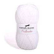 CHEVAL BLANC - La laine Poulinette 50 g