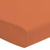 Drap housse percale de coton - Bonnet 30cm - Orange - 140x190 cm - Orange