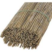 Jardindeco - Canisse en petit bambou 1 x 5m