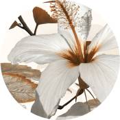 Papier peint panoramique rond adhésif fleur de lys - ø 140 cm de Sanders&sanders blanc et marron
