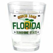 Plaque immatriculation Floride Sunshine State Verre
