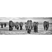 Tableau sur toile troupeau d'éléphants noir & blanc 30x97 cm