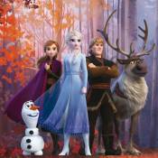 Bonninghoff - Tableau Disney - la reine des neiges - Anna, Elsa, Kristoff, Olaf et Sven - 35 cm x 35 cm