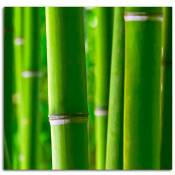 Feeby - Tableau bambous - 20 x 20 cm - Vert