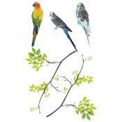 Le Monde Des Animaux - Adhésifs de vitres Oiseaux