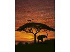 Papier peint coucher de soleil africain (194 x 270