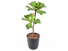 Plante artificielle haute gamme spécial extérieur / succulent artificielle - dim : 50 x 25 cm -pegane-