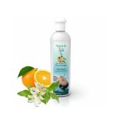 Camylle - Parfum de Spa à base d'huiles essentielles à la Fleur d'Oranger 250 ml
