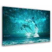 Hxadeco - Tableau deco dauphins astro - 80x50 cm