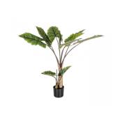 Iperbriko - Plante décorative 10 feuilles Dieffenbachia