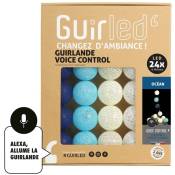 Océan Commande Vocale Intérieur Guirlande lumineuse boules coton Google & Alexa 24 boules - 24 boules