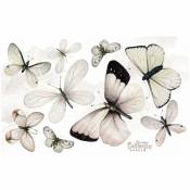 Sticker mural Papillons - 80 x 50 cm - Beige translucide, noir ébène