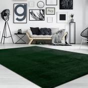 Paco Home - Tapis de salon Unicolore Lavable Pile courte et douce Vert, 150 cm carré