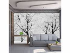 Papier peint intissé paysages arbres - paysage d'hiver taille 300 x 231 cm PD14400-300-231