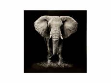 Toile imprimée "eléphant" 100x100cm noir & blanc
