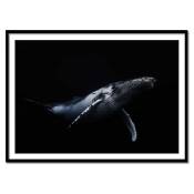 Affiche 50x70 cm et cadre noir - Black & Whale - Barathieu