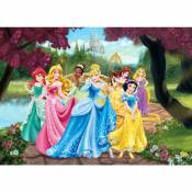 Disney - Affiche Princesses - 160 x 110 cm de rose, jaune et bleu