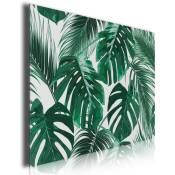 Hxadeco - Tableau tropical feuille, 80x50cm - Vert