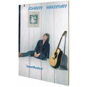 Johnny Hallyday - Plaque décorative Insolitudes en