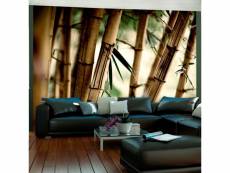Papier peint brouillard et forêt de bambous A1-4XLFTNT0963