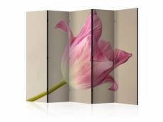 Paravent - pink tulip ii [room dividers] [225x172]