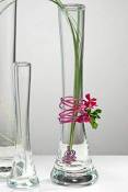 Sandra Rich 360244 Vase, Verre, Transparent, 20 x 10