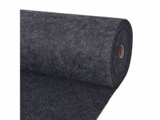 Vidaxl tapis strié pour exposition 1,2x20 m anthracite