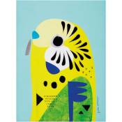 Maxwell&williams - Maxwell & Williams Pete Cromer Essuie-tout de Design Essuie-tout de Parrot de 100% coton, 50 x 70 cm - Turquoise