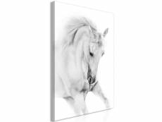 Tableau - white horse (1 part) vertical-40x60 A1-N8346
