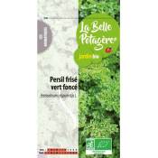 Ecodis - Persil frisé vert foncé 2 g