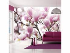 Papier peint branche de magnolia en fleurs l 250 x