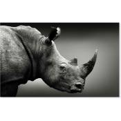 Hxadeco - Tableau Rhinoceros Close up noir et blanc