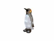 Figurine pingouin led acrylique exterieur E3-72243
