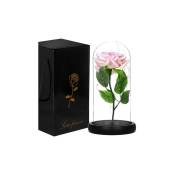 Rose en verre 22 cm avec guirlande lumineuse led Cadeau Cloche de décoration Rose éternelle - Springos