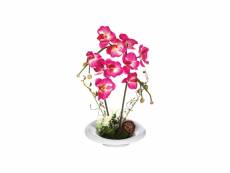 Composition orchidée en vase h46 fushia - atmosphera